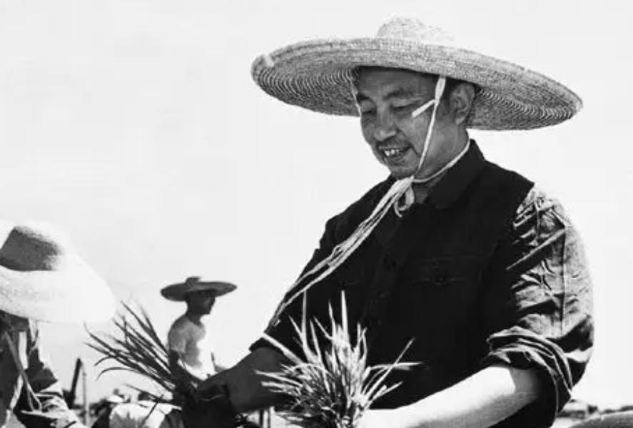 2008北京奥运会开幕谁受伤了,2008奥运年发生了什么