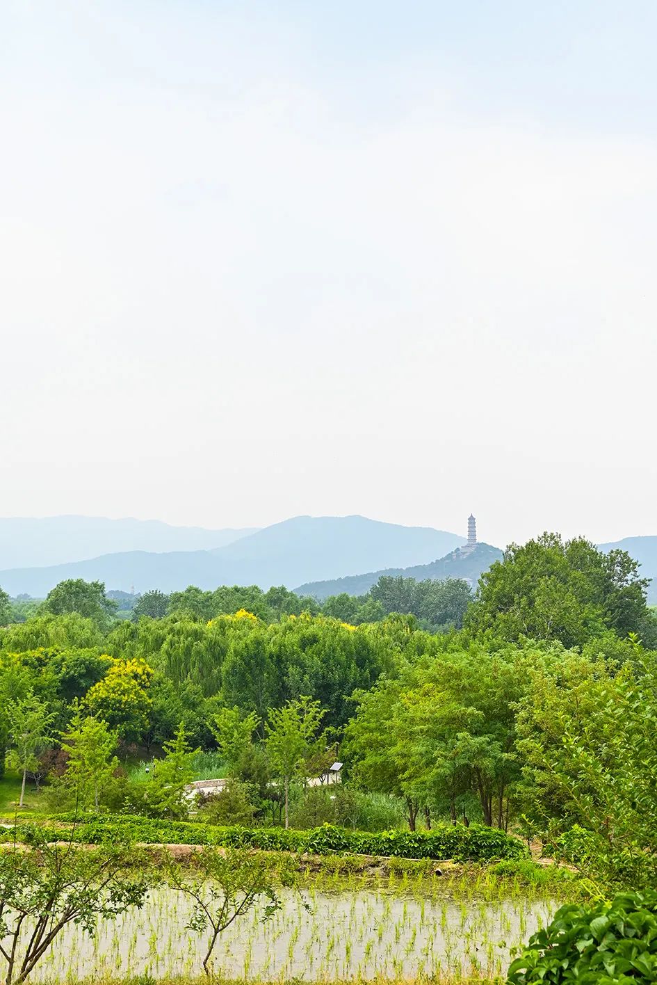 北京免费景美公园大全,北京这个公园也很美