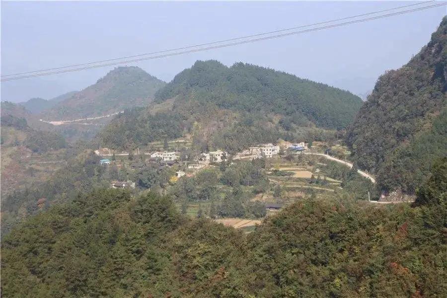 无人购买却遍地都是的麻花车,没人买的天津麻花