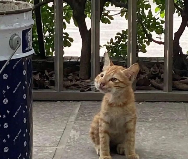 小学生笑话段子爆笑大全,每日精选笑话段子来一波让人爆笑