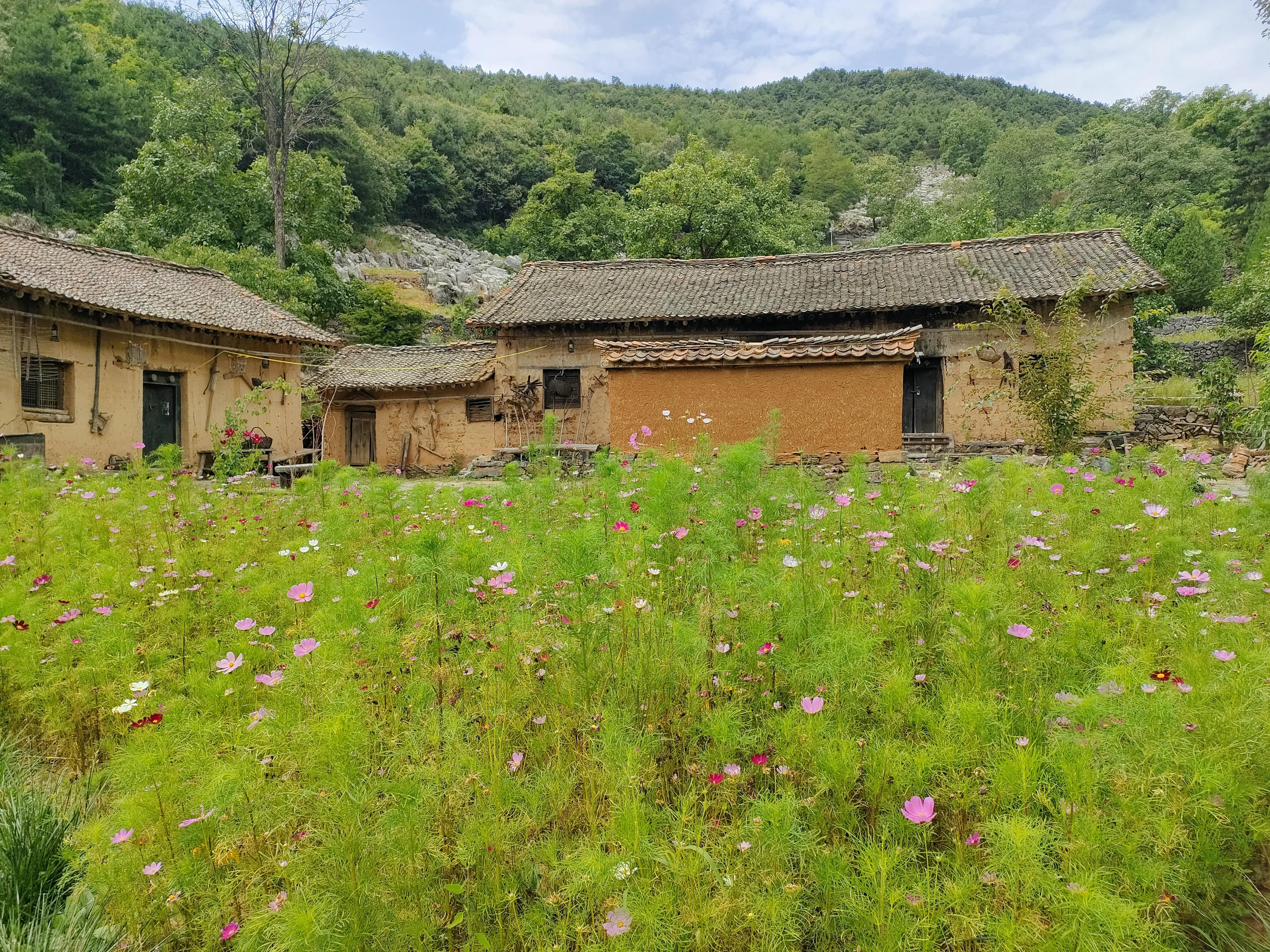 秦岭江山景区怎么样,秦岭江山景区最新通知