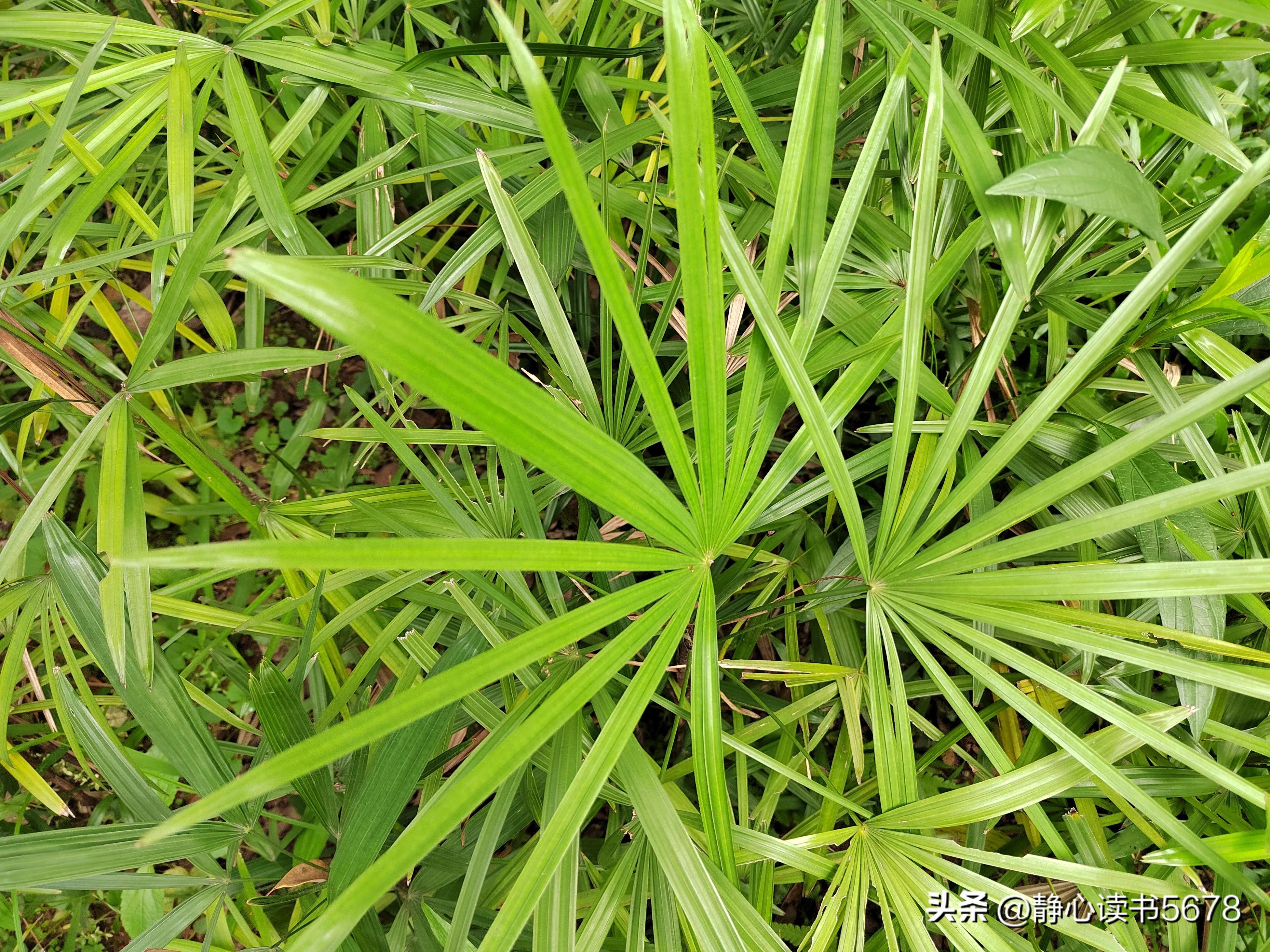 做生意悟出来一个道理,冯仑说做生意求人
