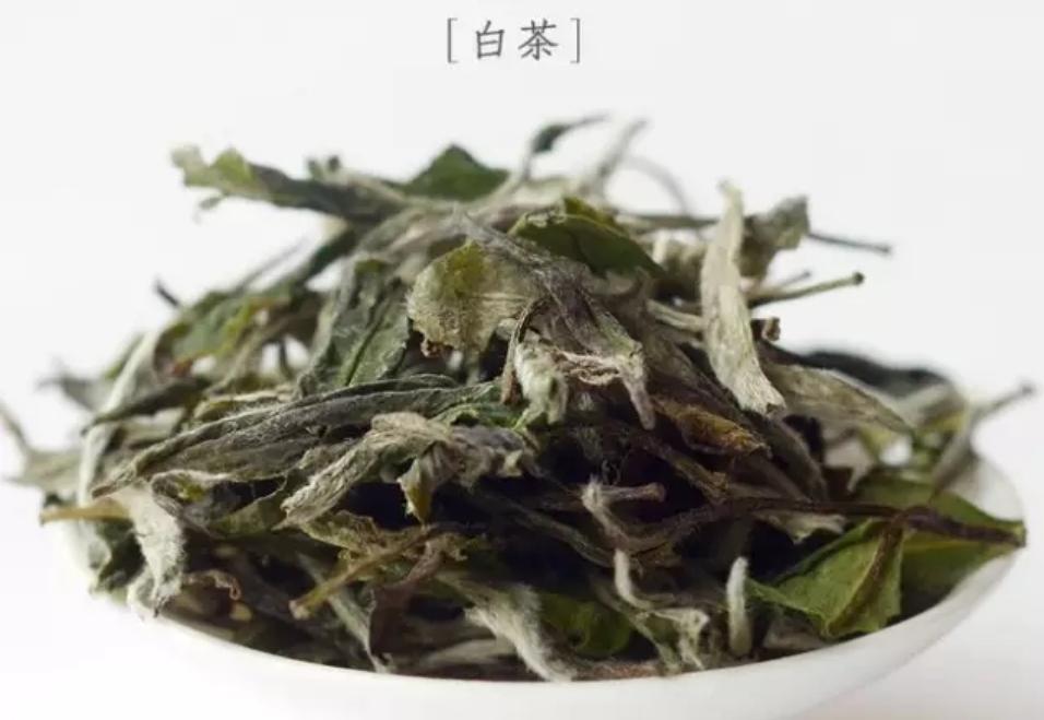 茶叶小知识你适合喝哪种茶,16种茶大解析