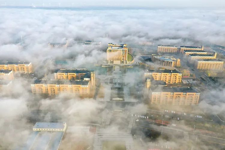 层林尽染的视频号,濮阳医专学历怎么样