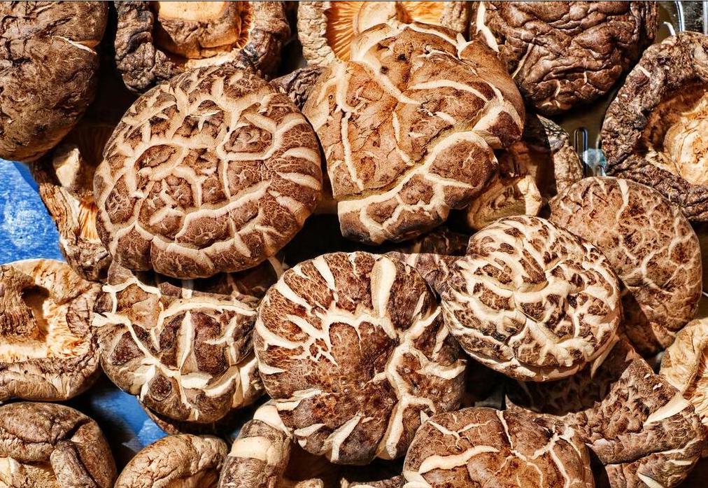 香菇买湿的好还是干的好呢,干香菇菌褶颜色深好还是浅好