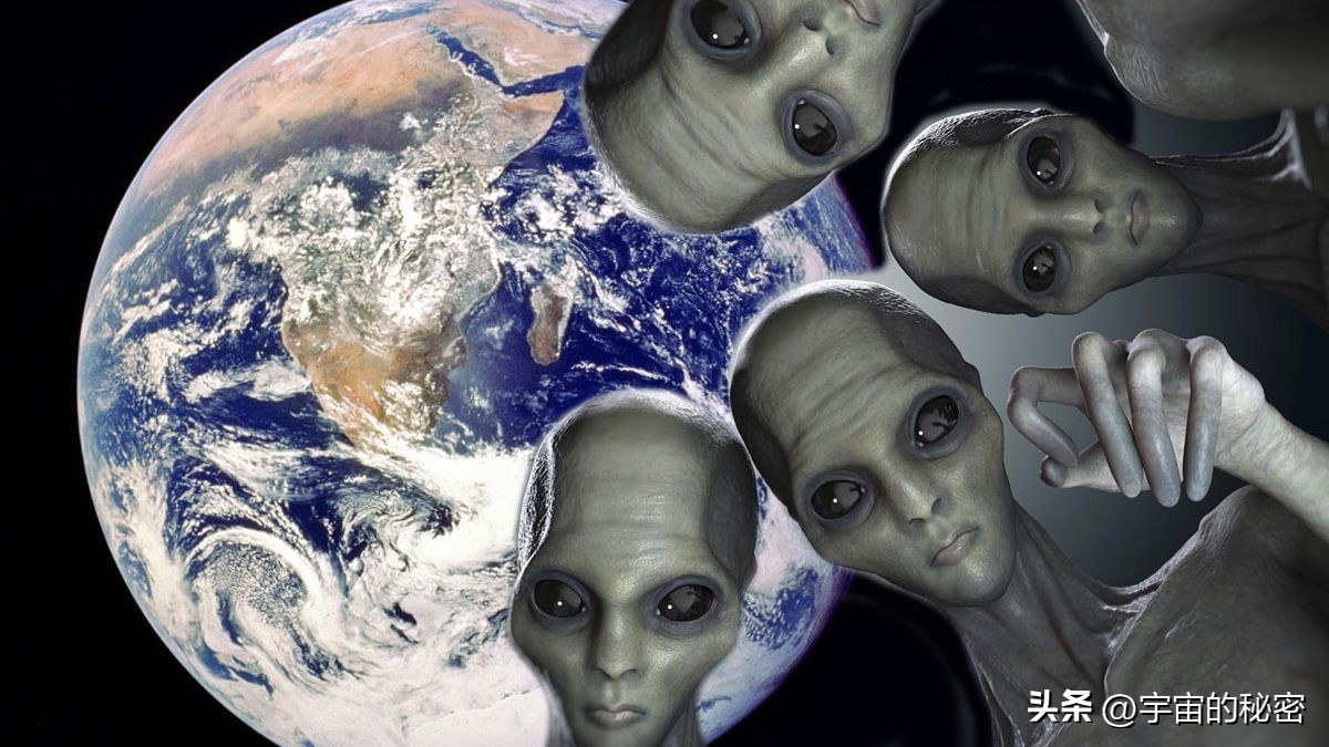 哈尔滨上空出现不明飞行物,哈尔滨惊现飞鸟