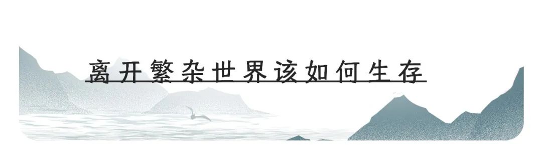 如果流落荒岛你会带一本什么书,一个人在荒岛带什么书好