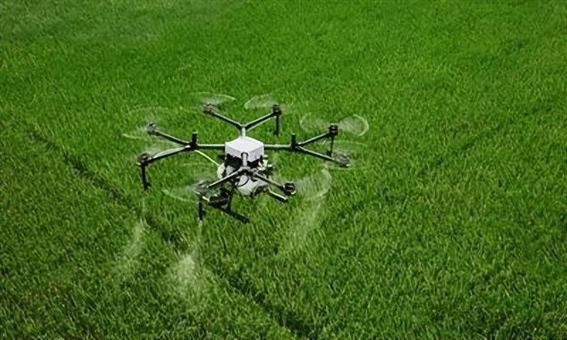 宣讲家文稿：【喜迎二十大】*党**的*八大十**以来我国农业发展的历史性成就