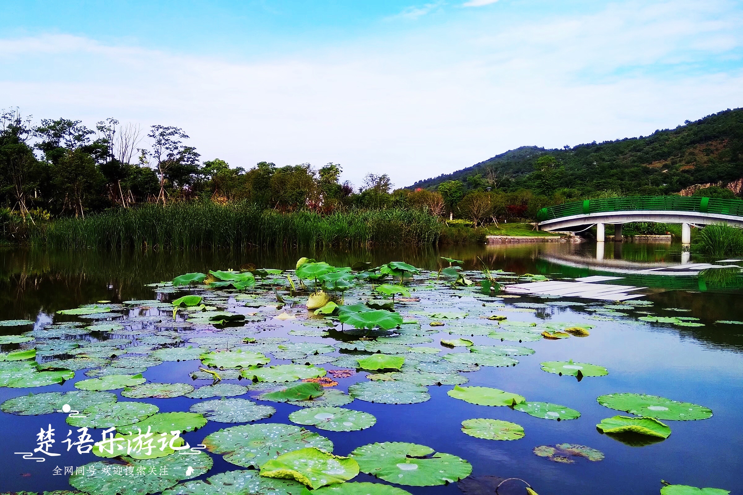 宁波这个网红景点不仅有花海，原来还是露营胜地，湖光山色美如画