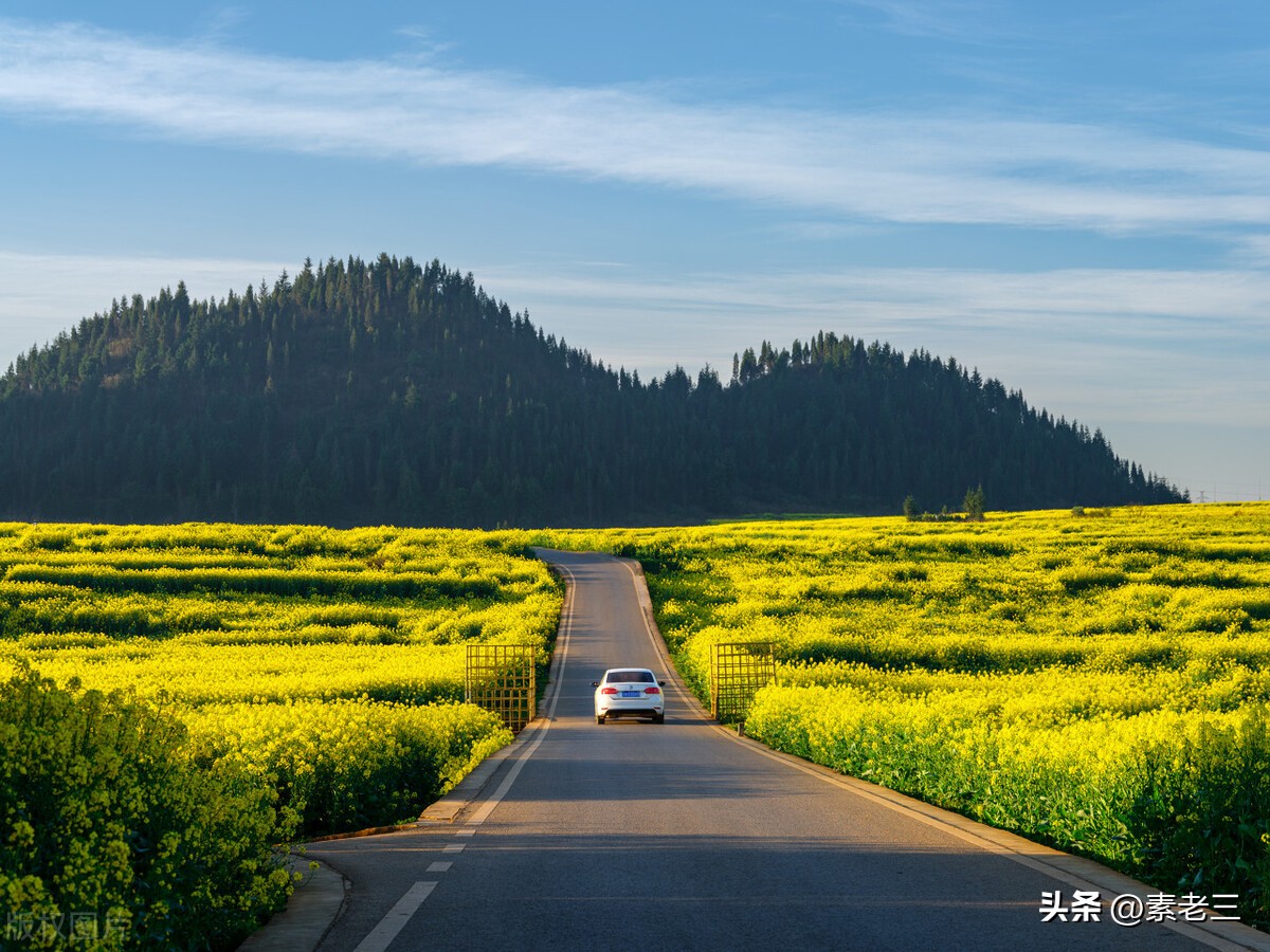 女作家去做保姆651,女作家去做保姆剧情