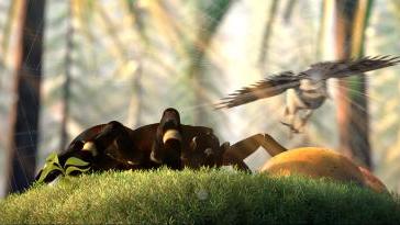 热带雨林十大危险动物蛇,亚马逊热带雨林最恐怖的蛇