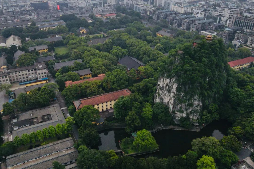 打飞的都要去坐的动车,怎么每站都这么好看