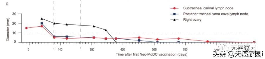 最新癌症疫苗已进入临床试验阶段,预防癌细胞的疫苗是什么