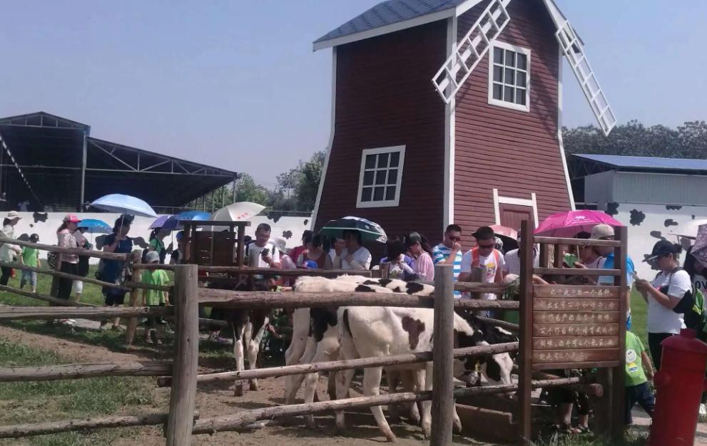 郑州赏花游玩推荐景点,郑州踏青旅游攻略