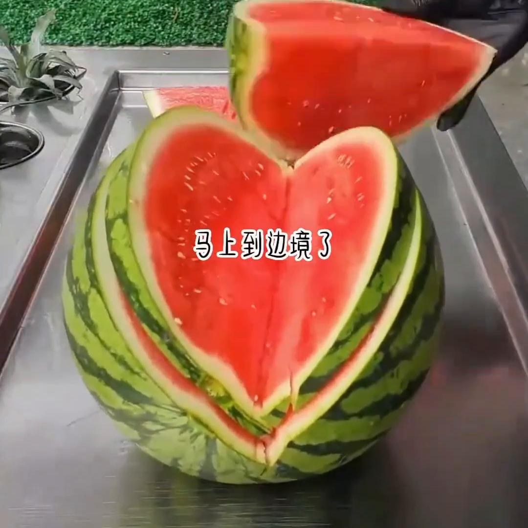 每日小说,每日小说阅读