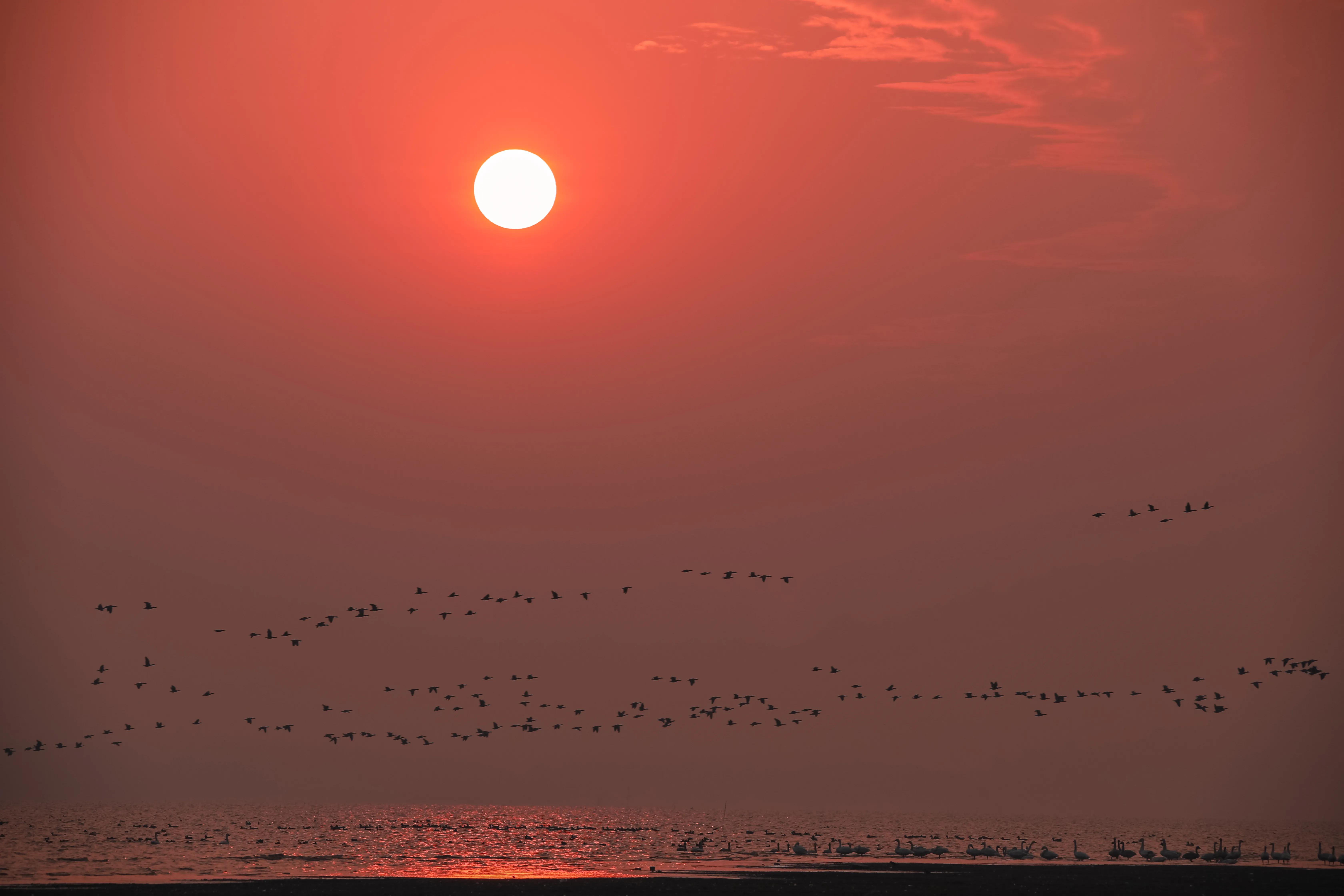 怎么样拍水流,怎么样拍水果抖音视频教程