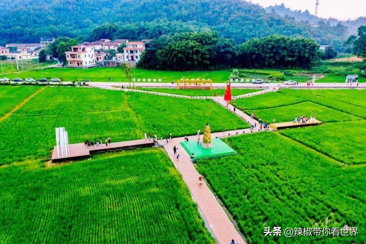 海岸线：邂逅*江阳**——感受这座慢节奏小城文化底蕴感悟人文之美