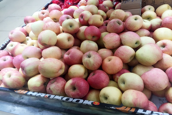 早上金苹果晚上有毒吗,早上金苹果晚上毒苹果什么意思