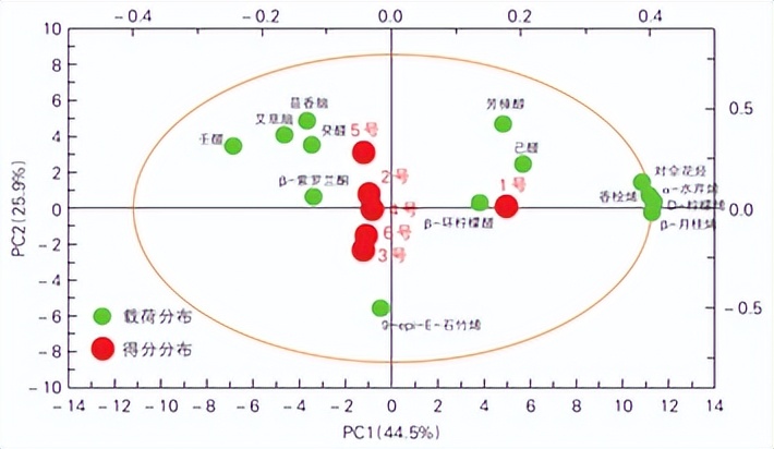 技术专栏深入理解感知机,技术付费专栏