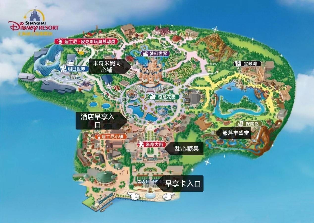 围困迪士尼：买500个暖贴凌晨排队站不住借轮椅憋到尿血被网暴