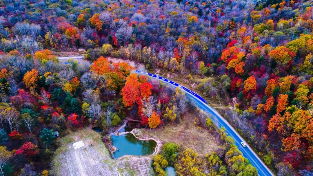 【延边人游延边】玩好吃好住好,这样的敦化很难说不爱