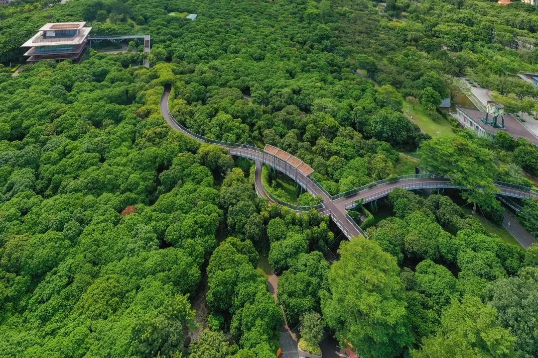 深圳福田免费公园排名前十名,福田中心公园游玩攻略