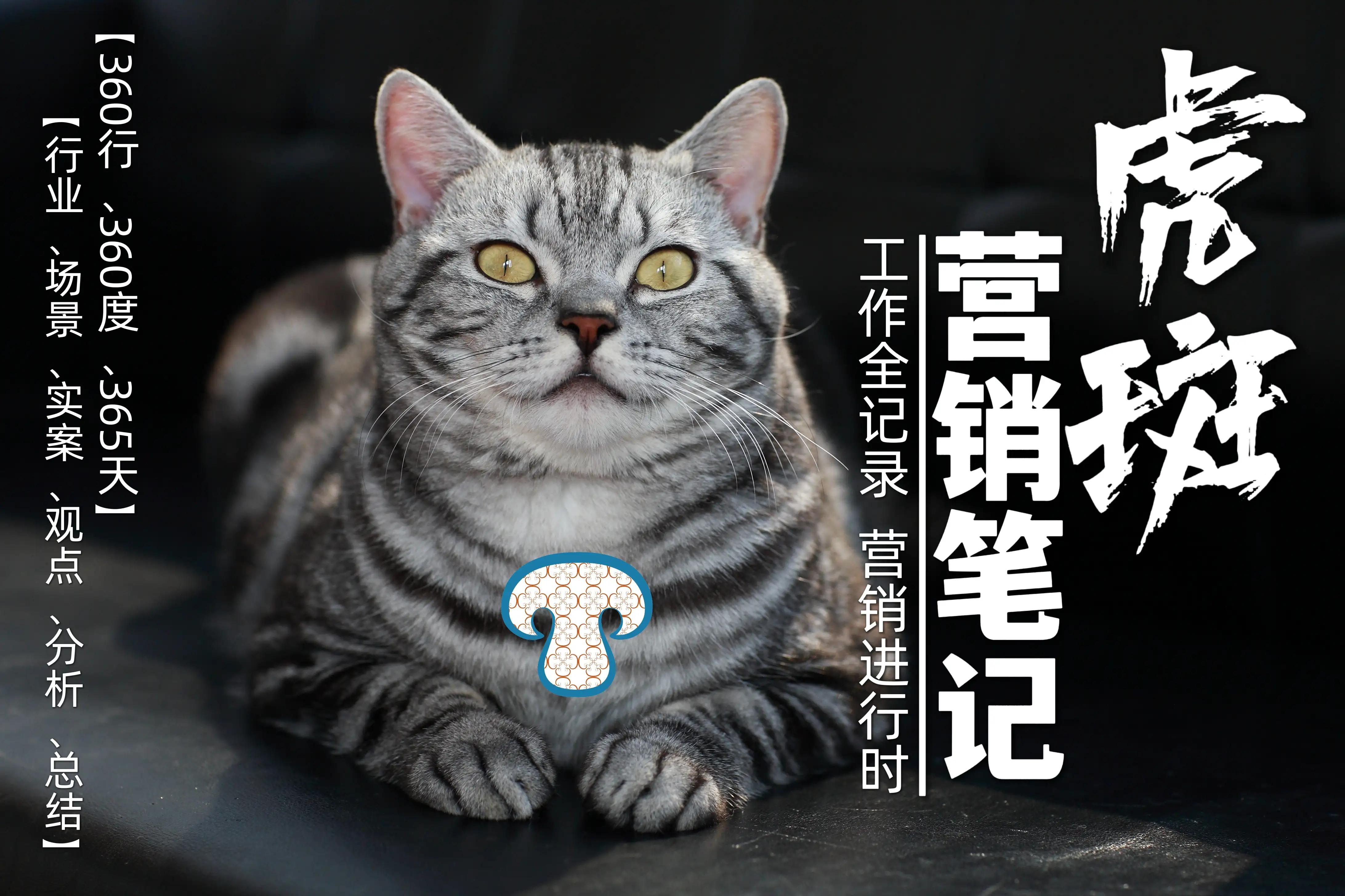 《虎斑营销笔记》第56页“大健康门店的货品组合”