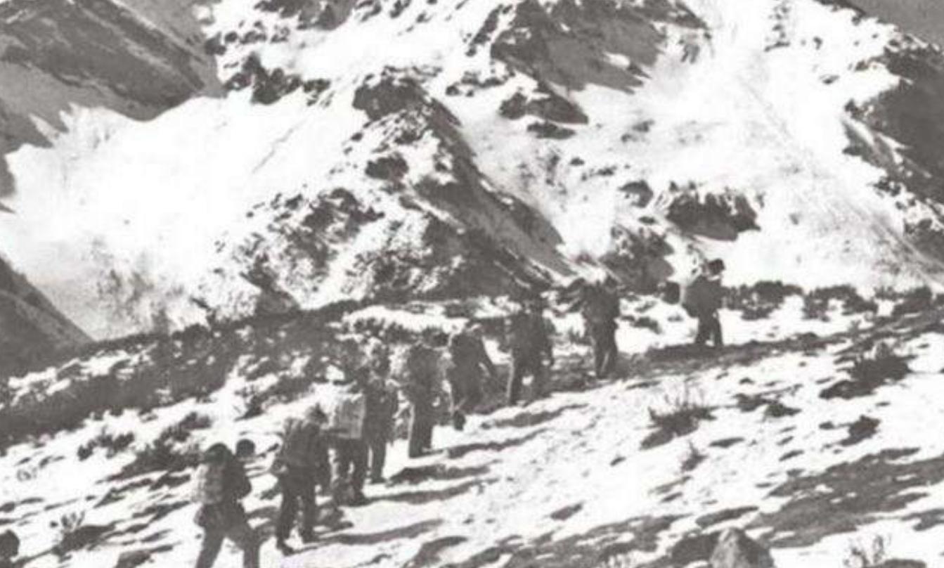 1954年，*先念李**向毛主席提了一个请求，毛主席：见面就给我出难题