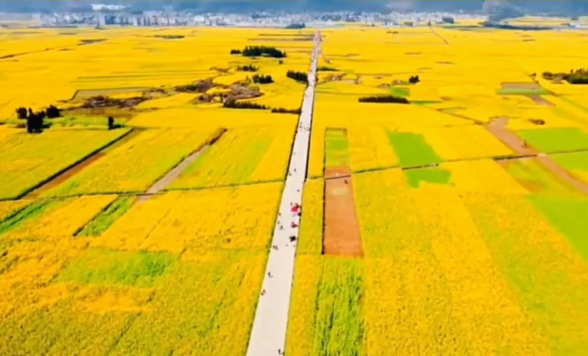 贵州网红草根把亲妹妹介绍给大衣哥做儿媳，返回老家一路江南美景