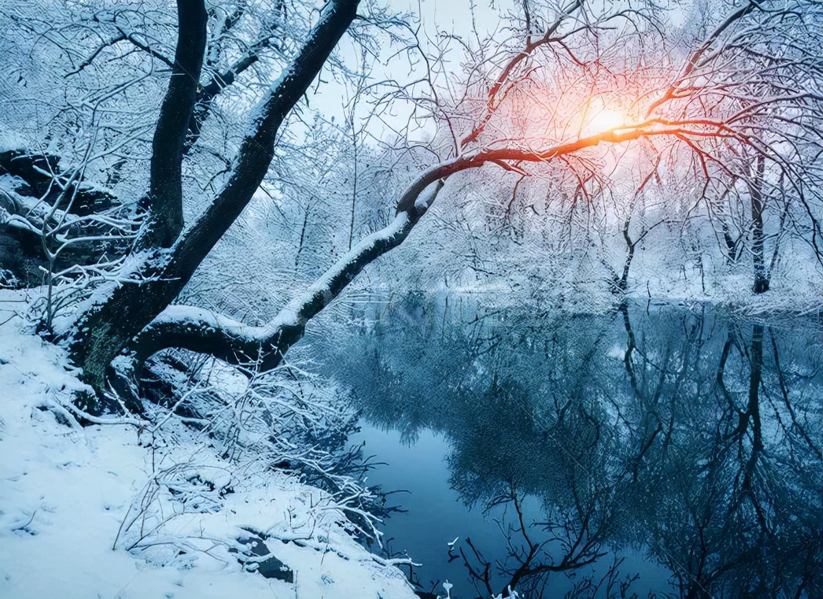 小灰猫涂涂和他的朋友们（下）保护大森林