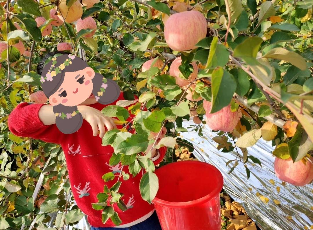 小院安装4个监控摄像头,自己家院子监控摄像头