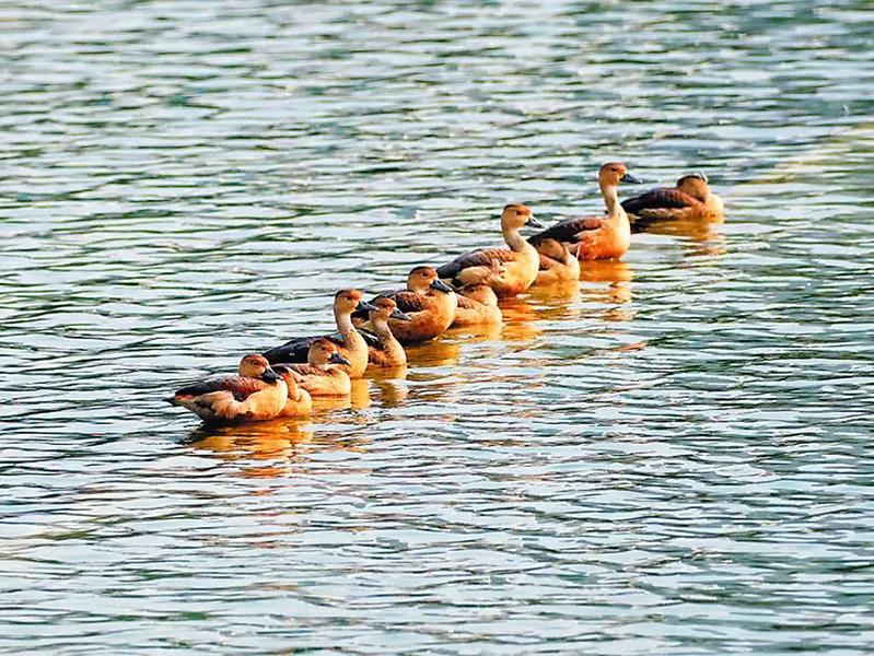 广西南宁是最好的吗,南宁好市多