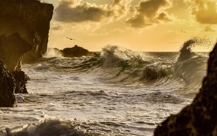 etf期权创业板认沽是t+1还是t+0,创业板etf期权和上证50etf期权