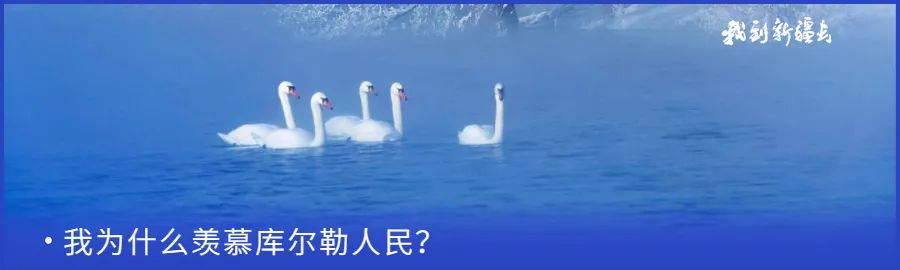 入疆旅游攻略,环疆旅游攻略大全