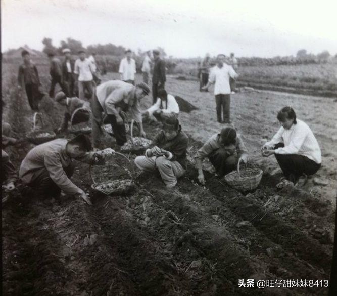 怀念七八十年代的农村,80年代中国真实老照片