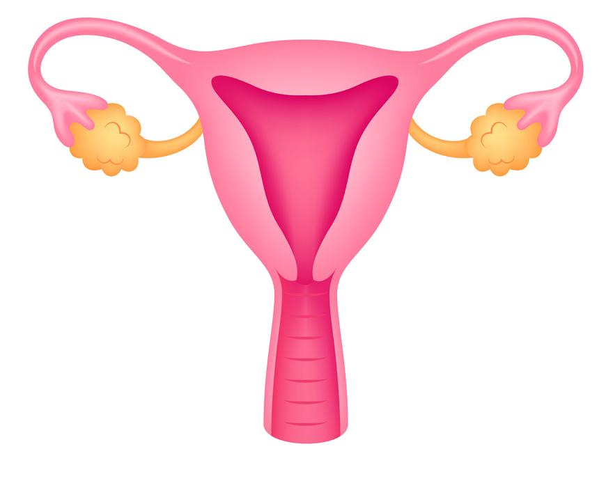 hpv16阳性活检低度病变可以自愈吗,50岁女人hpv16阳性能自愈吗