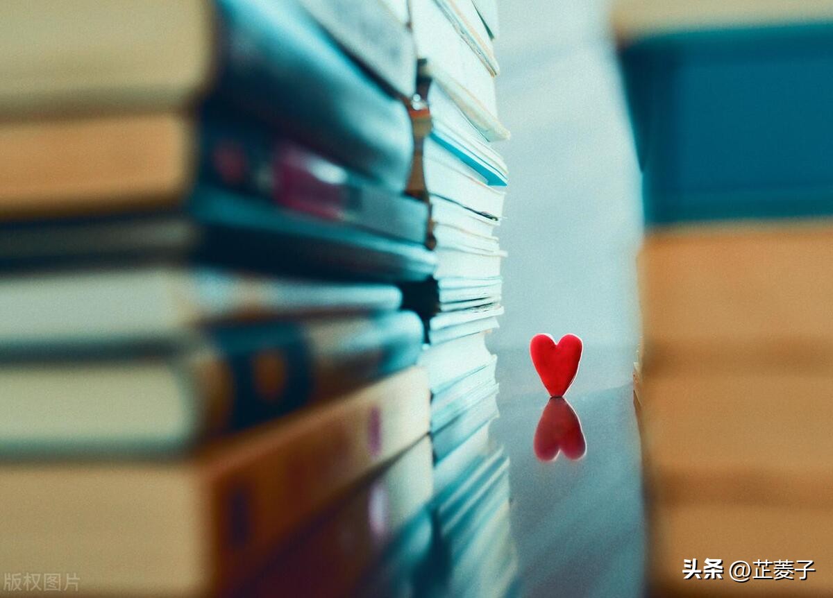 四大名著的热门书单,六本书必读书单