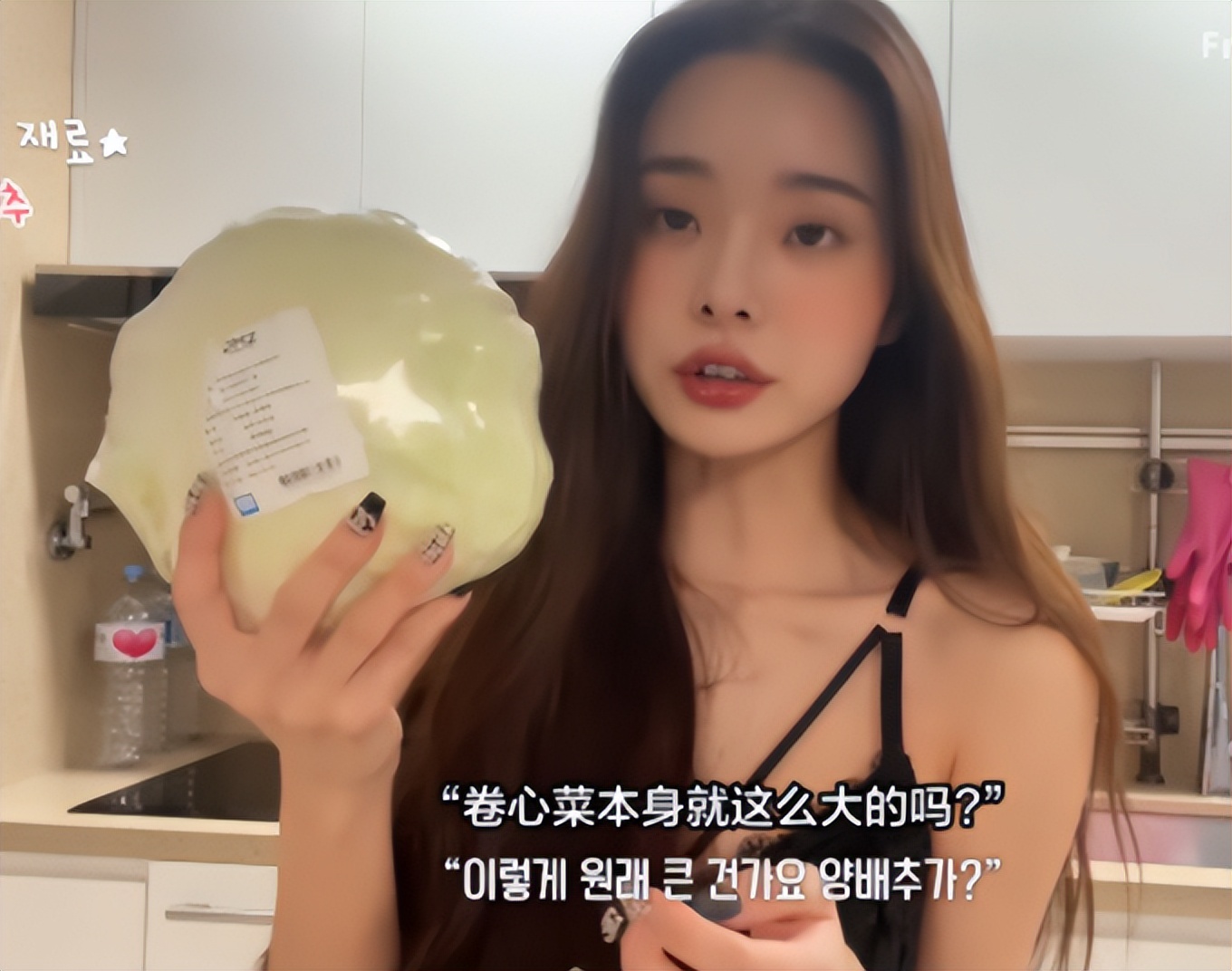 宋智雅在韩综片段 (宋智雅韩综视频)