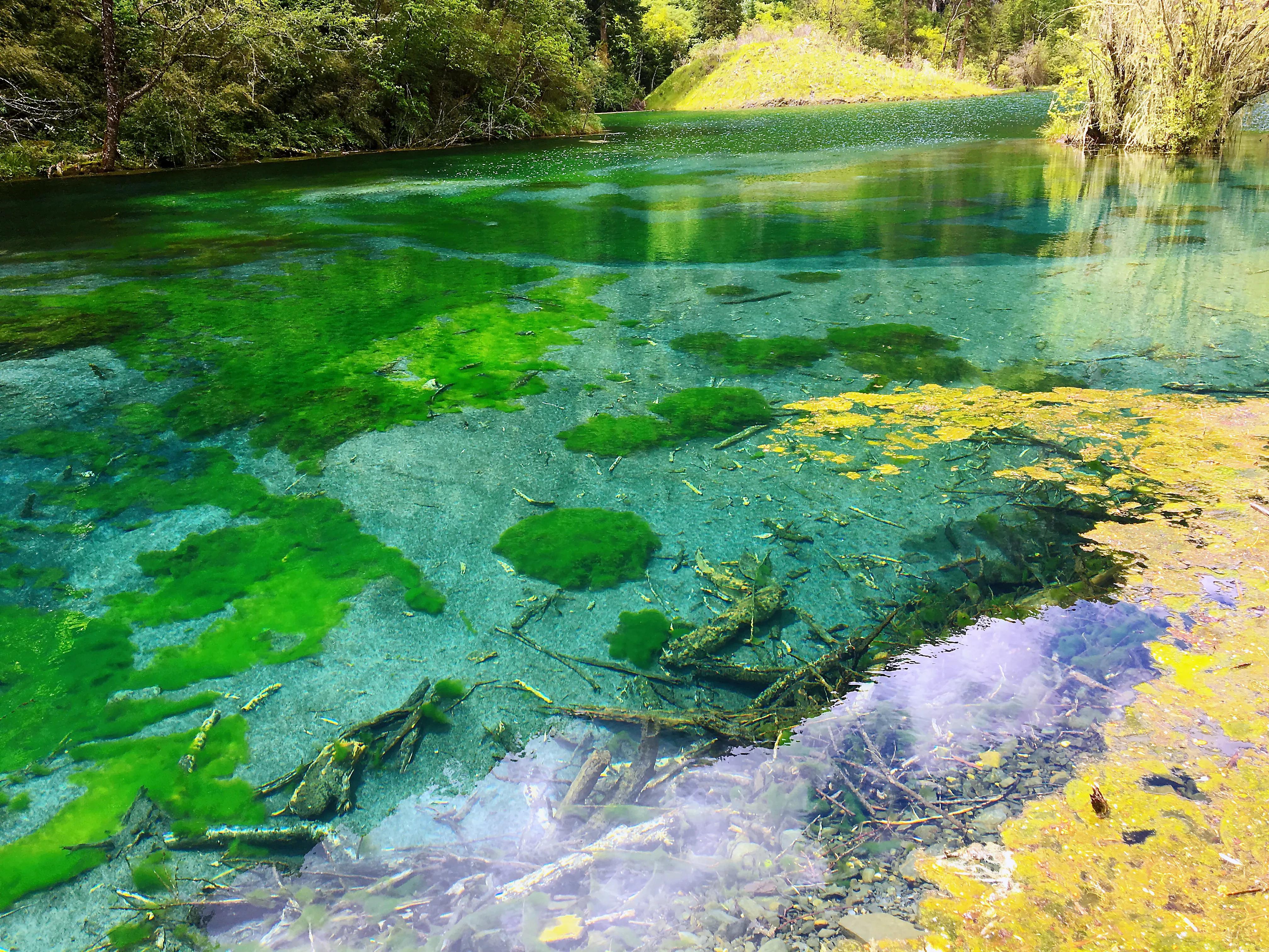 想象中的桃花源,梦寐以求的桃花源