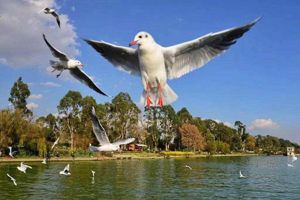 来海埂公园感受初夏浪漫,享受周末休闲快乐时光