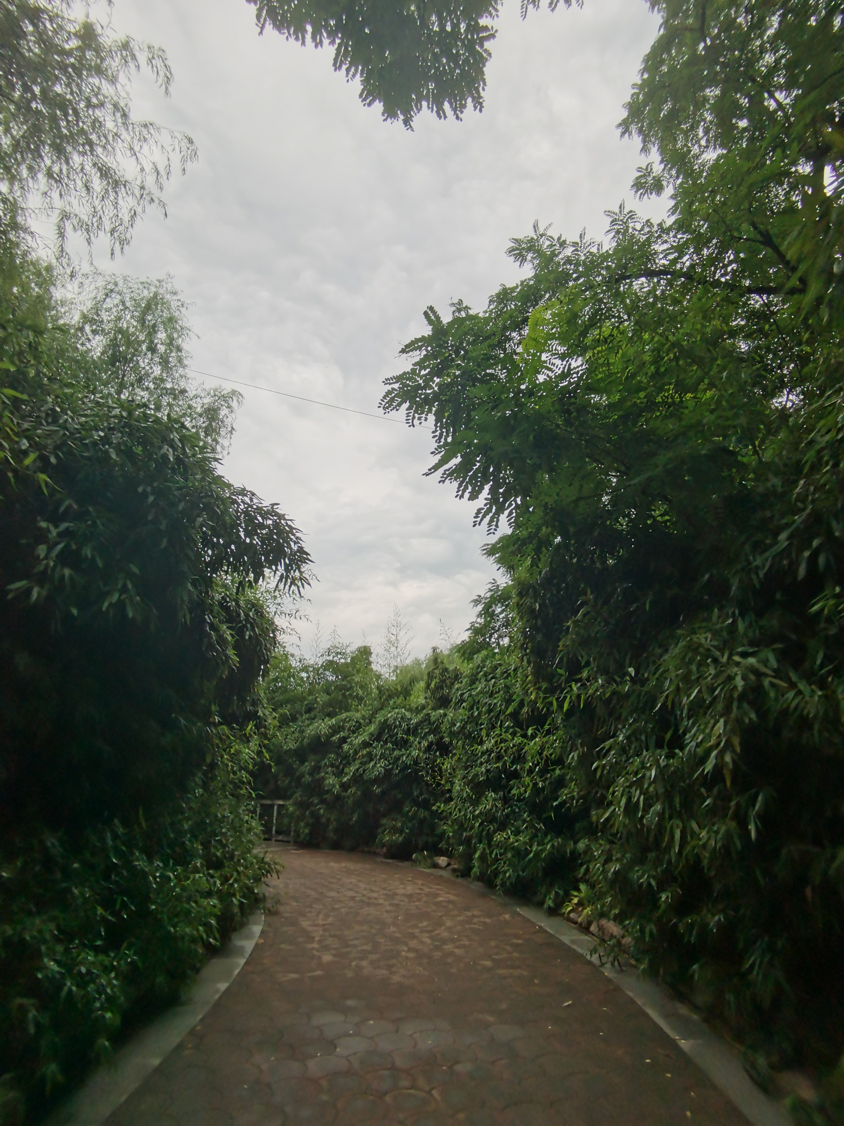 寻夏雨荷,寻找夏雨荷的景点