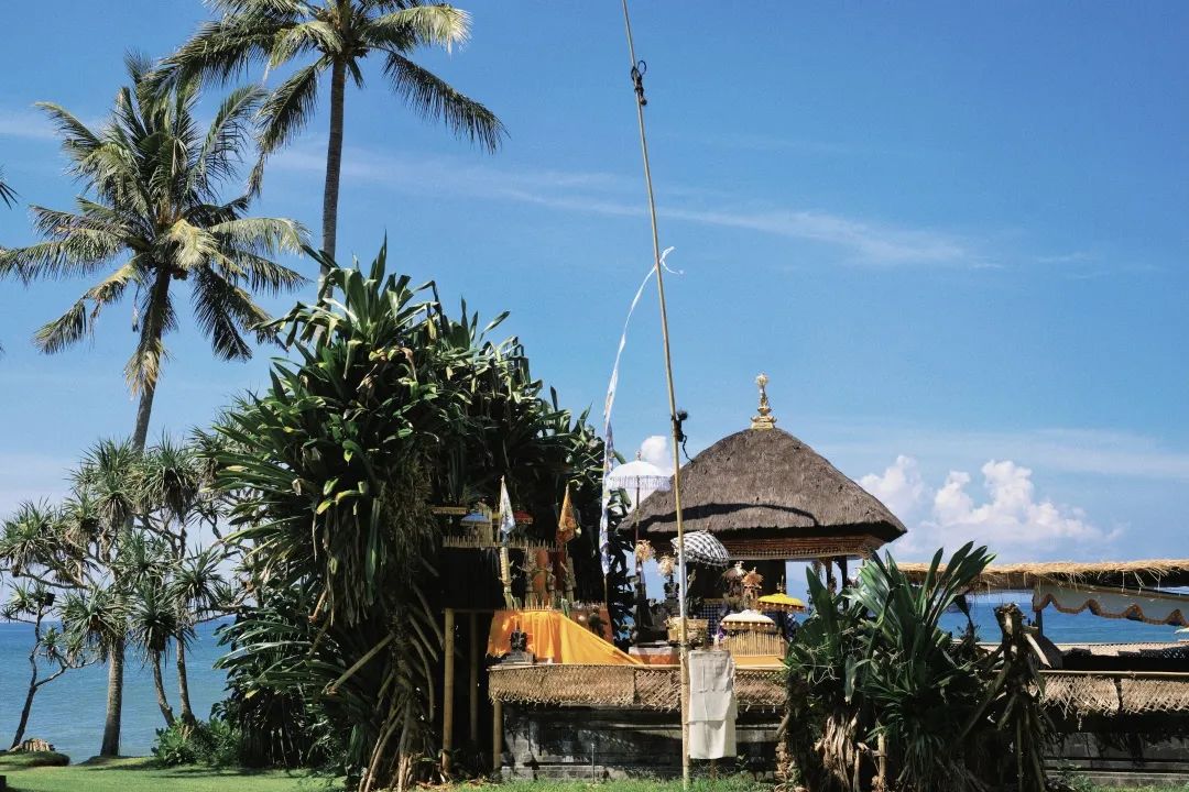 这可能是全球性价比最高的一家阿丽拉