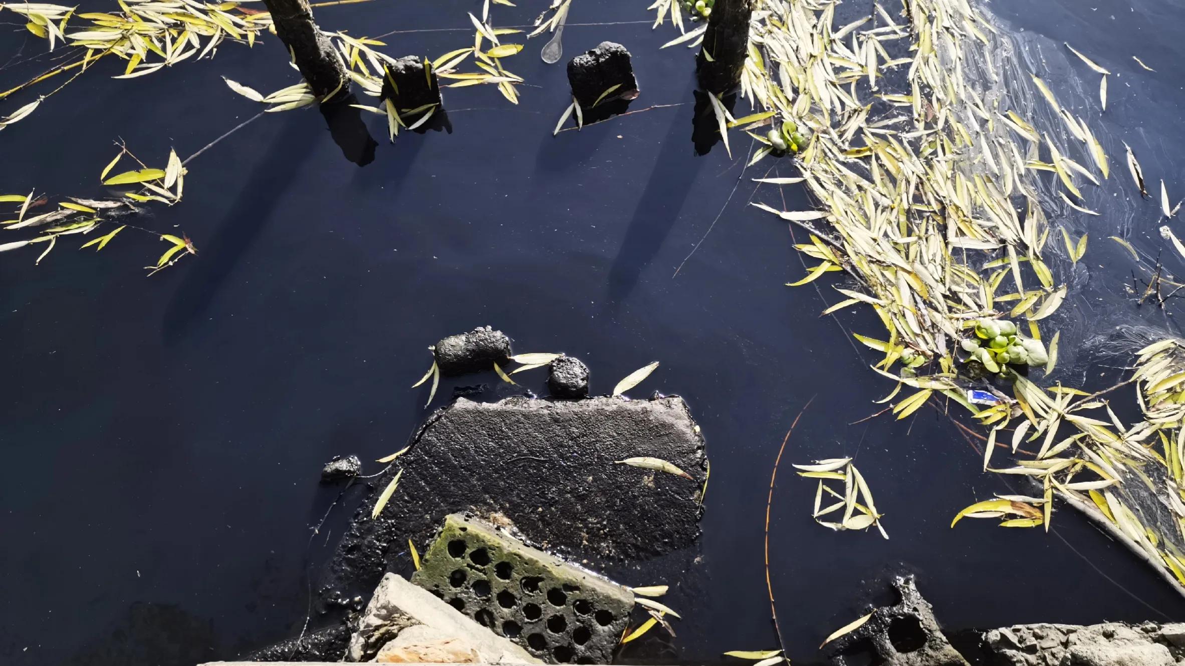 昆山努力打造高质量发展什么环境,持续改善昆山生态环境