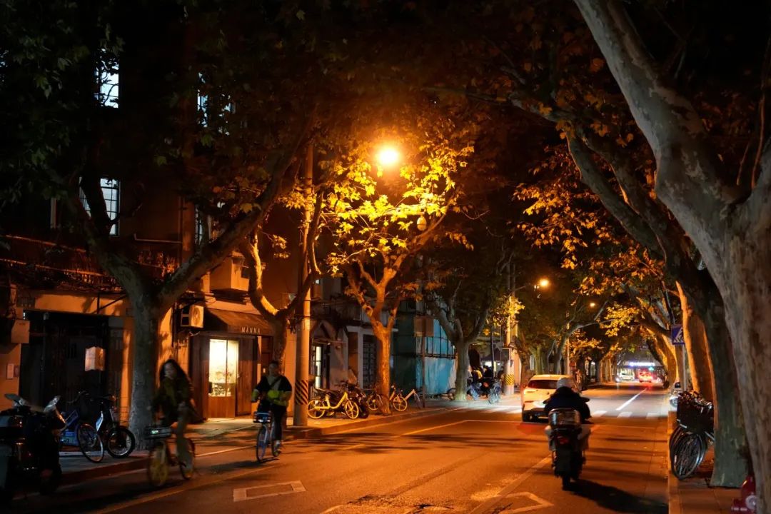 90后不结婚95后不恋爱,为什么95后不愿意谈恋爱