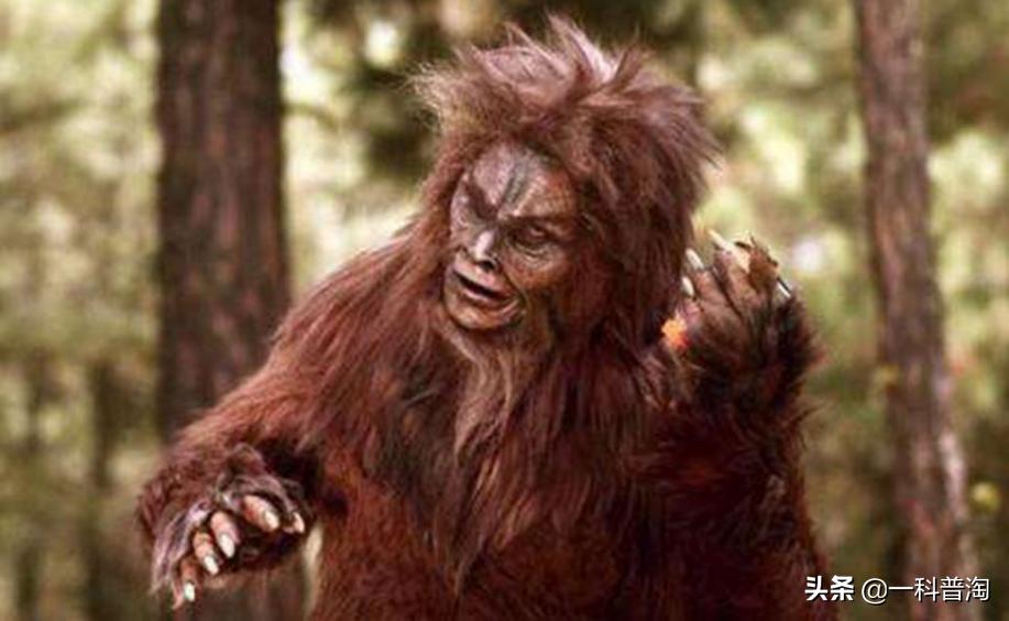 神农架野人真的曝光吗,神农架野人的真实存在吗