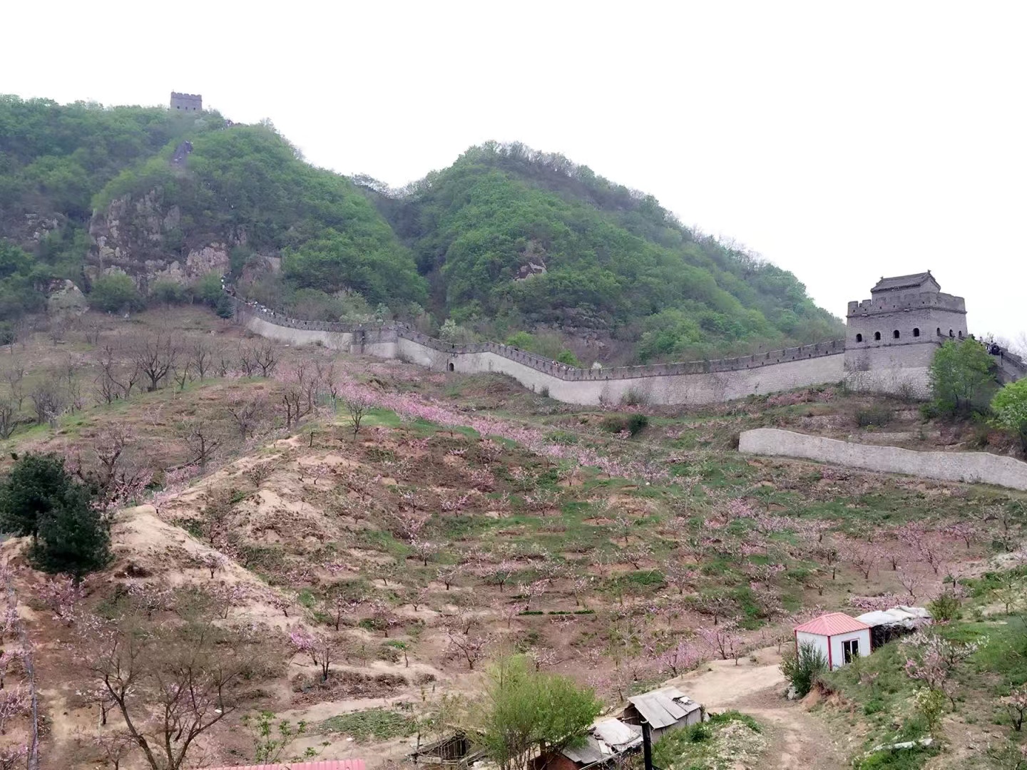 14款大众速腾1.6l手自一体图片,13年大众速腾1.6l烧机油