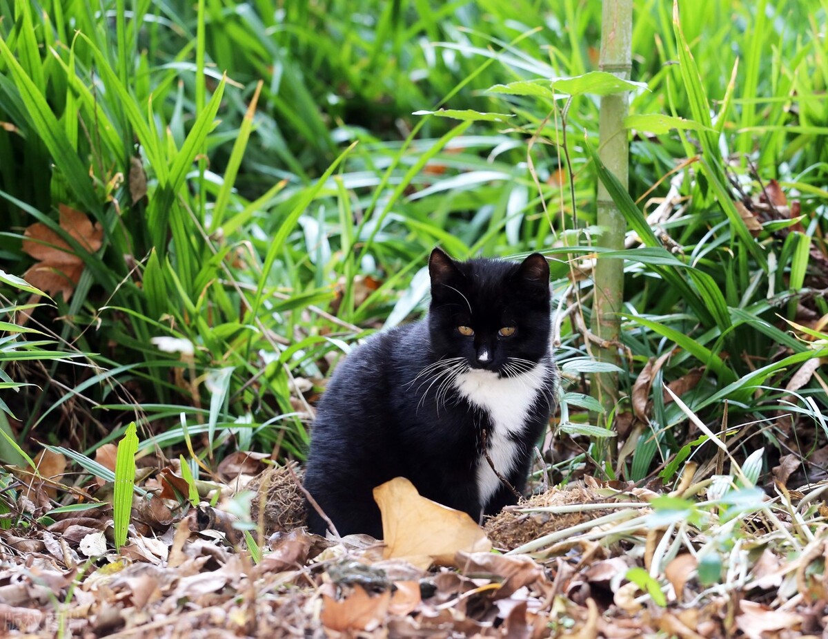 真心喜欢一个人才会有的样子,喜欢一个人很容易坚持爱下去