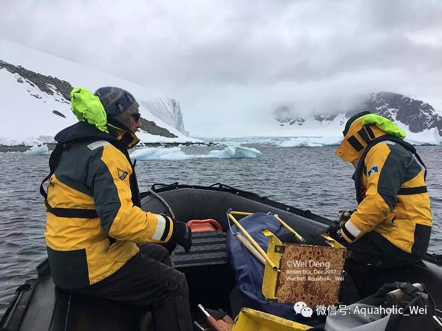 我在南极养企鹅,我在南极的日子