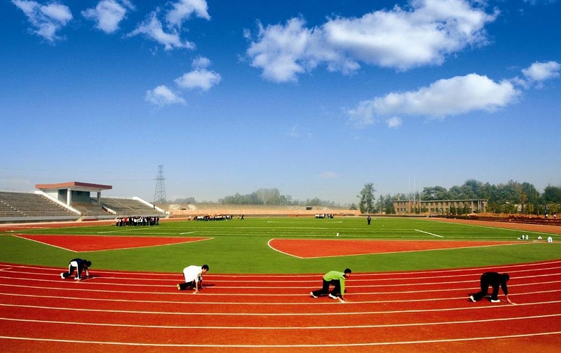 人工足球场草坪适合哪种足球,人造草坪足球场有什么用