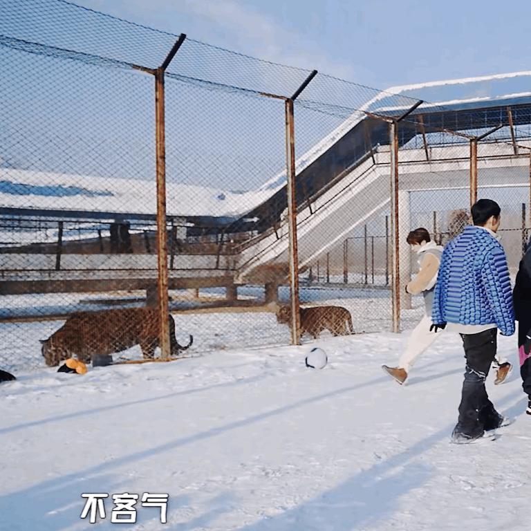 阿姨夸鹿晗,阿姨猜鹿晗年龄